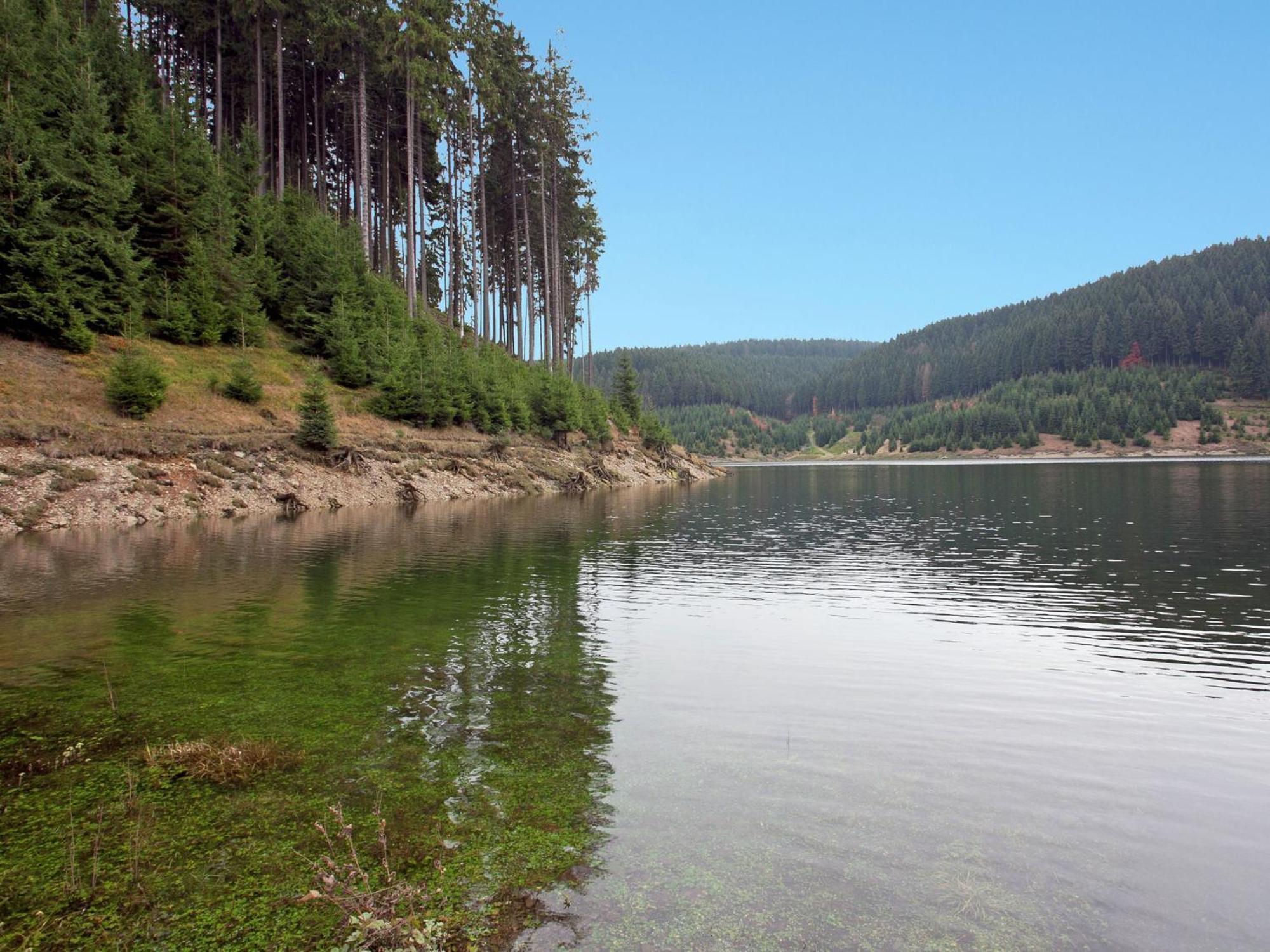 Apartment In Heubach In The Forest Giessubel Ngoại thất bức ảnh